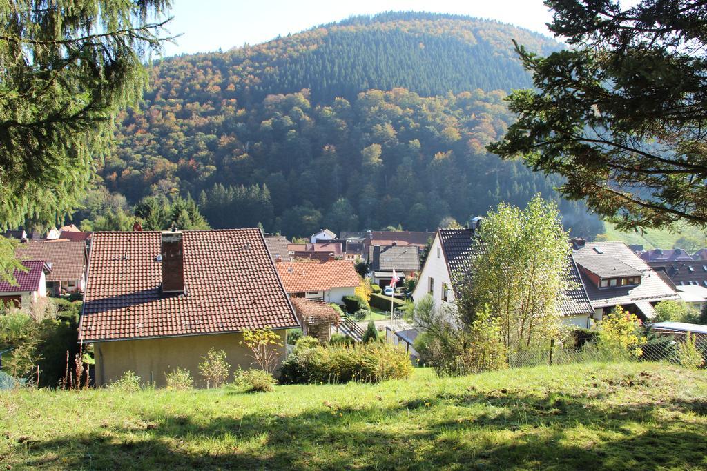 Haus Panoramablick *